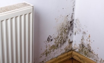 Avoir de l’humidité dans sa maison ou dans son appartement : quels sont les risques ?
